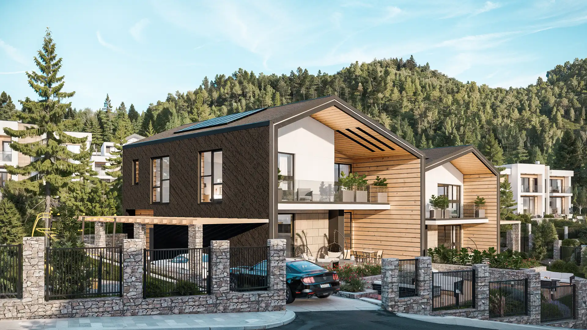 Проект снимка